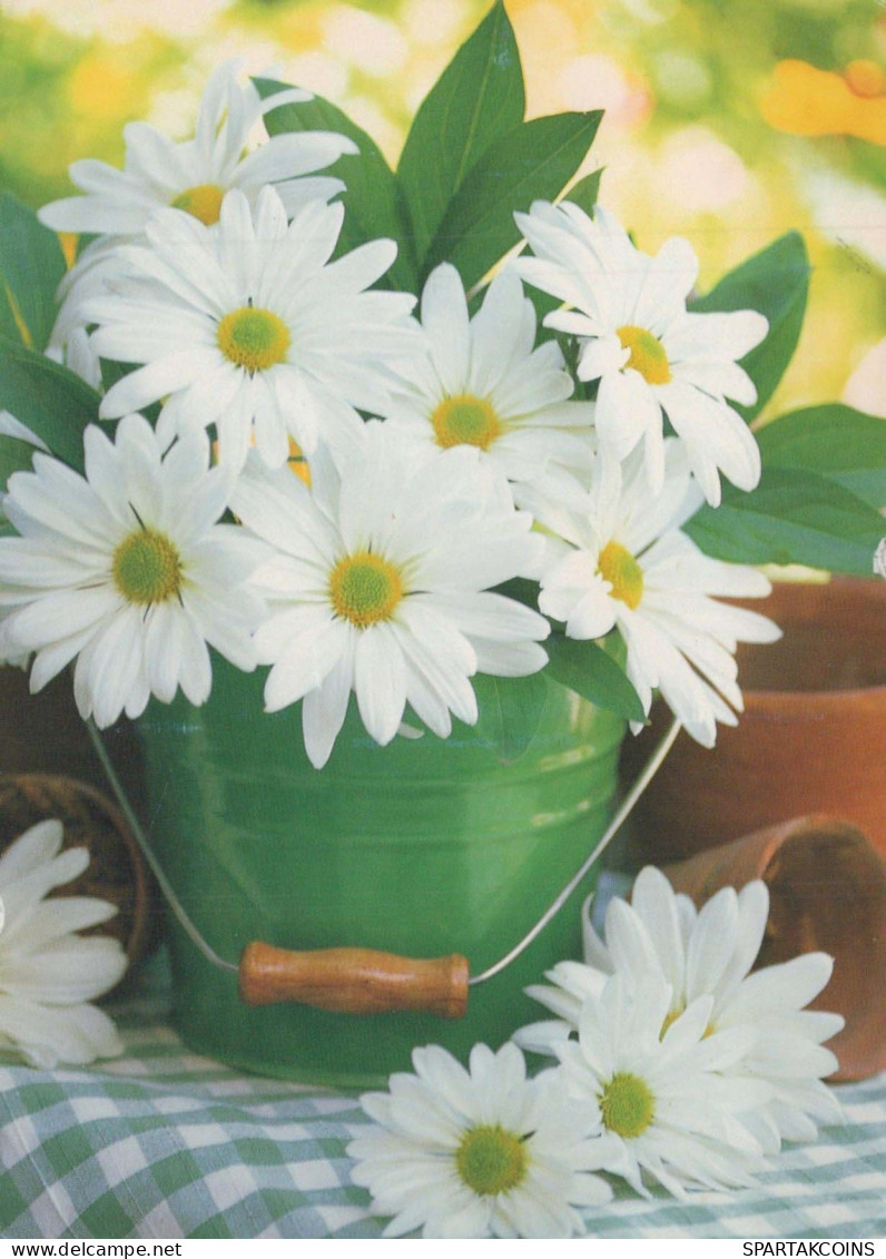 FLOWERS Vintage Postcard CPSM #PBZ761.GB - Flowers