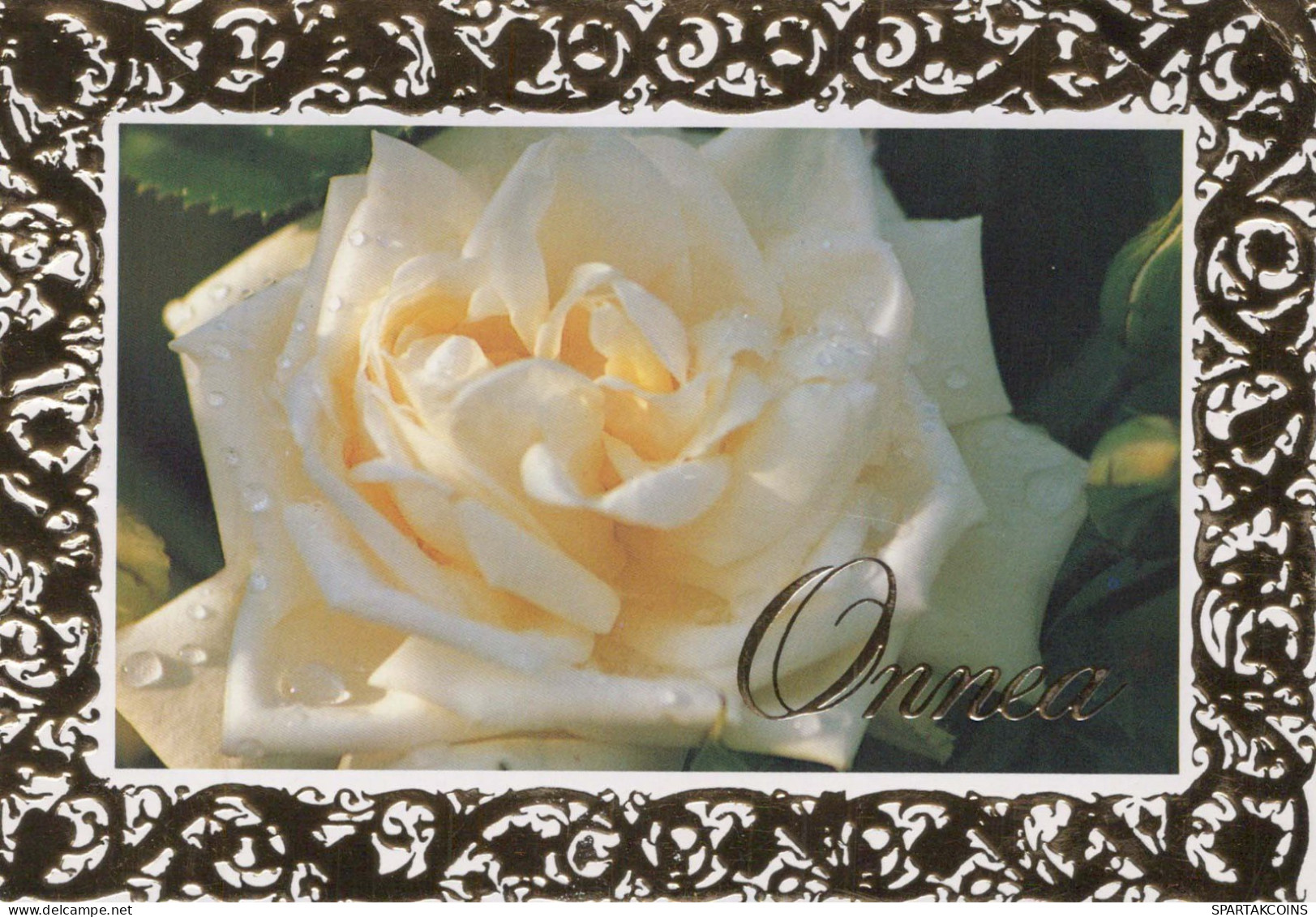 FLOWERS Vintage Postcard CPSM #PBZ459.GB - Flowers