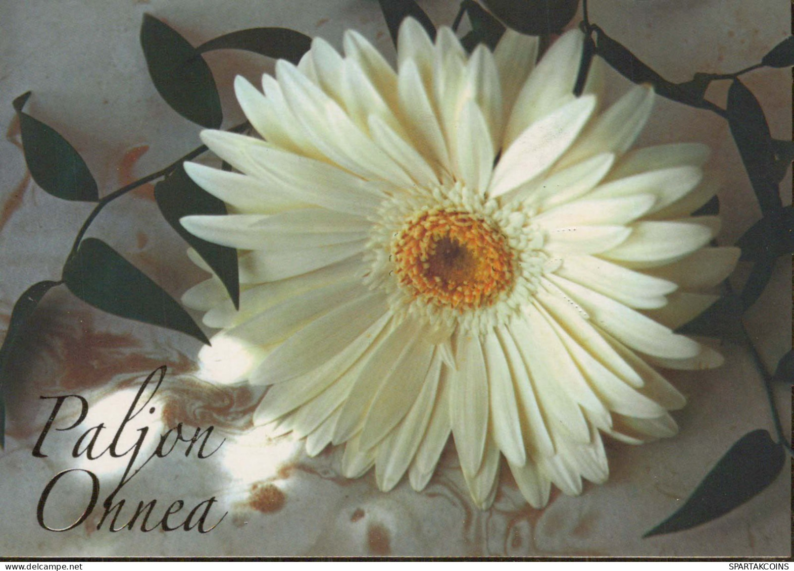 FLOWERS Vintage Postcard CPSM #PBZ399.GB - Flowers