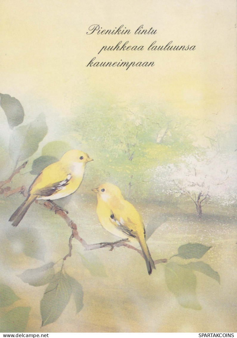 BIRD Animals Vintage Postcard CPSM #PBR700.GB - Oiseaux