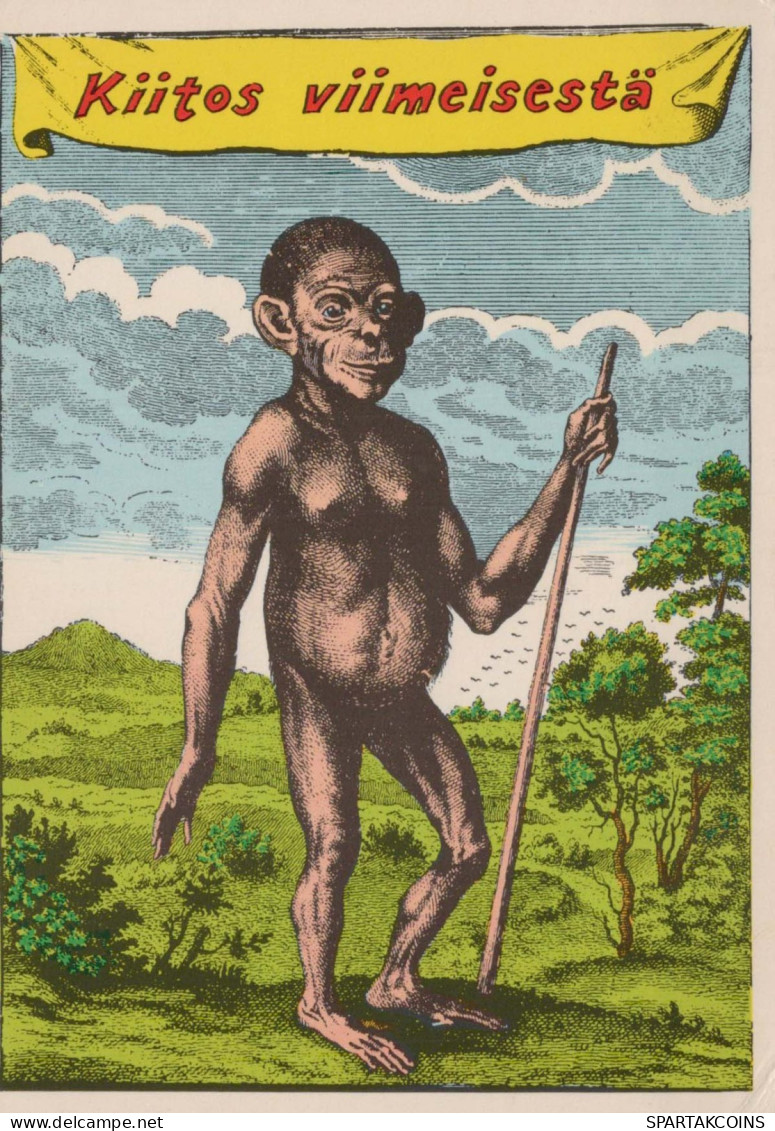 MONKEY Animals Vintage Postcard CPSM #PBR977.GB - Monkeys