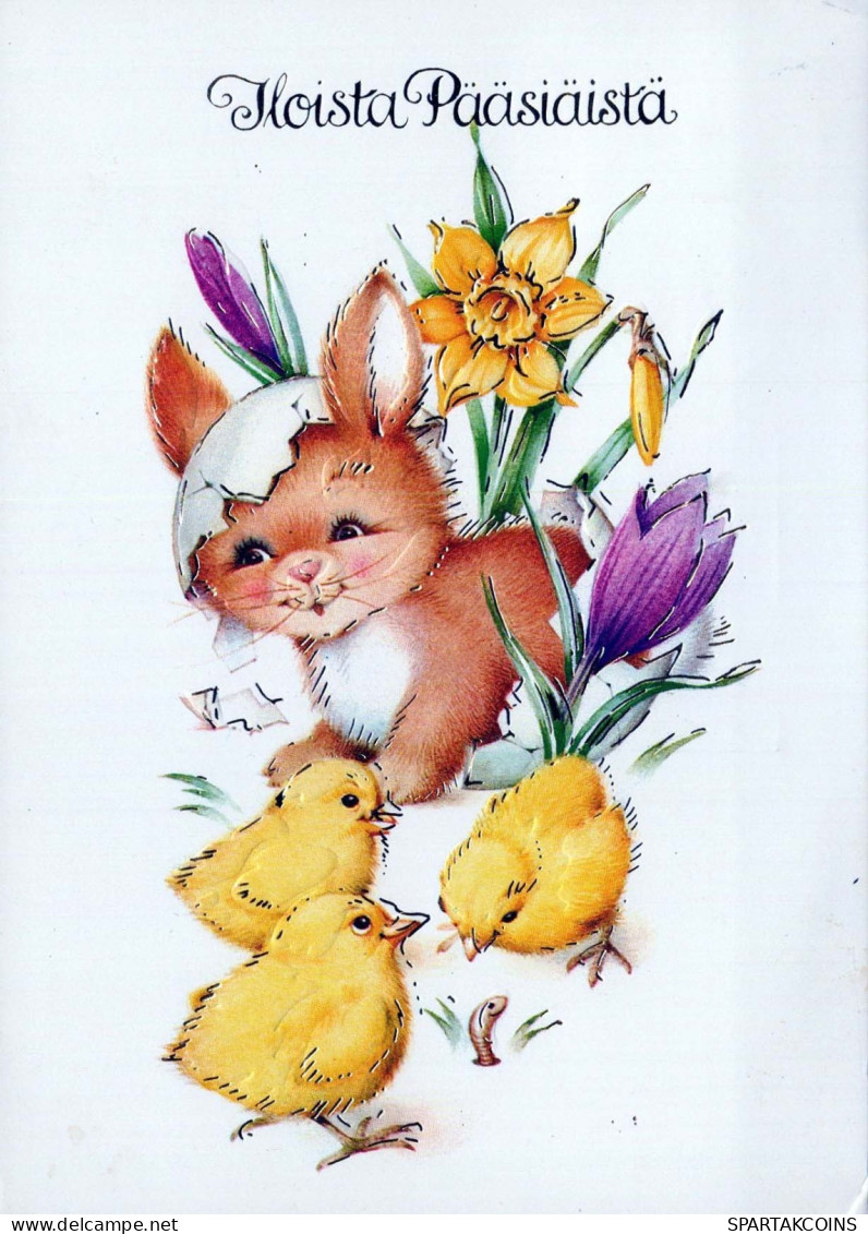 EASTER RABBIT Vintage Postcard CPSM #PBO434.GB - Pâques