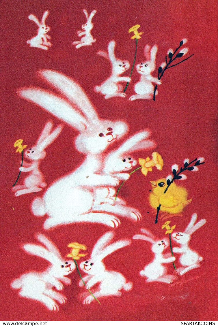 EASTER RABBIT Vintage Postcard CPSM #PBO560.GB - Pâques