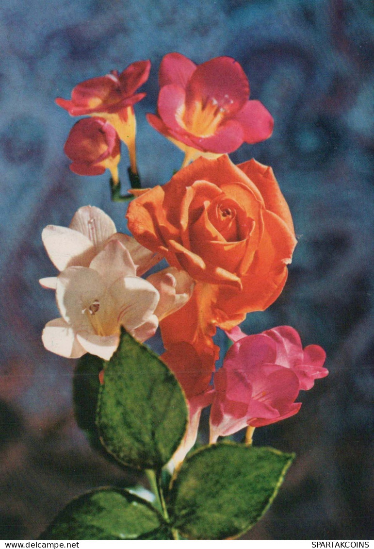 FLOWERS Vintage Postcard CPSM #PAS232.GB - Flowers