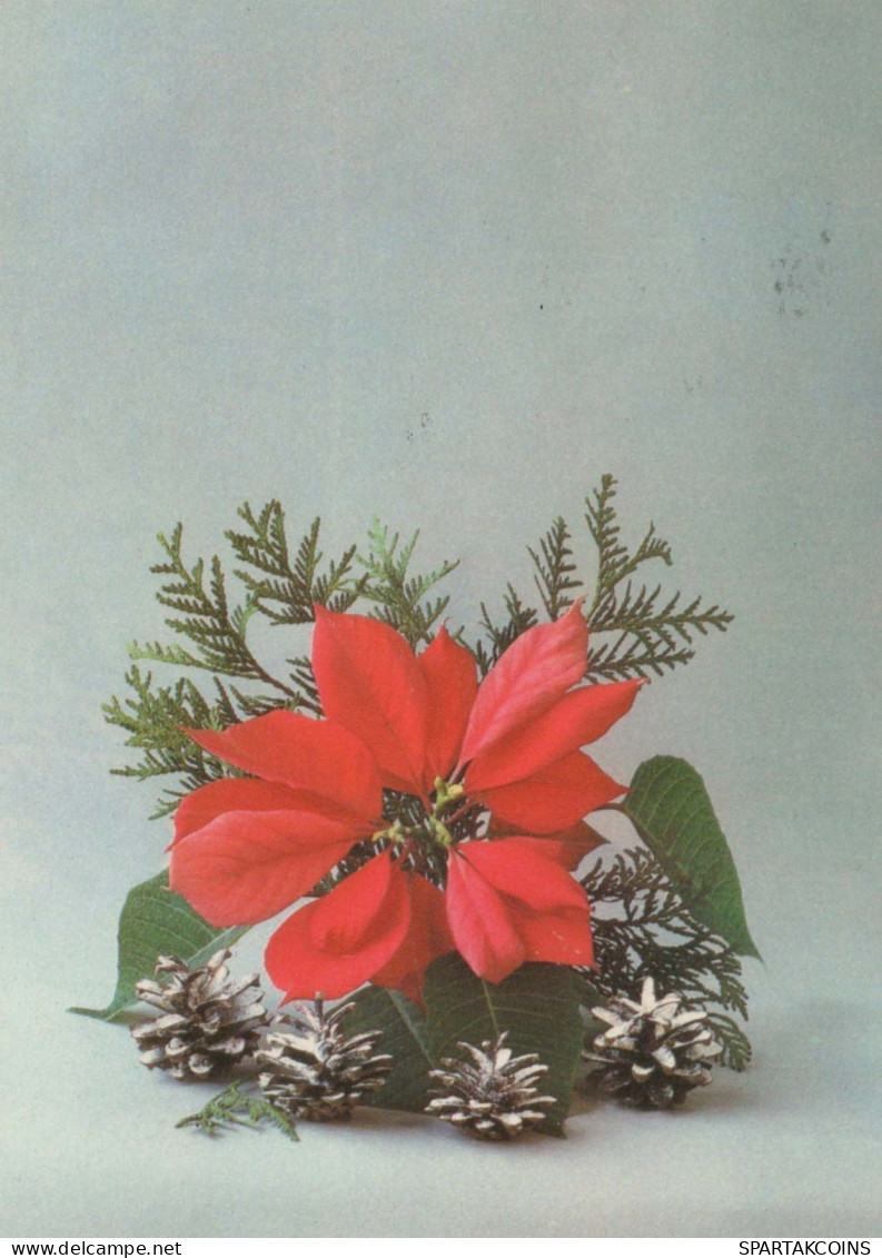 FLOWERS Vintage Postcard CPSM #PAS412.GB - Flowers