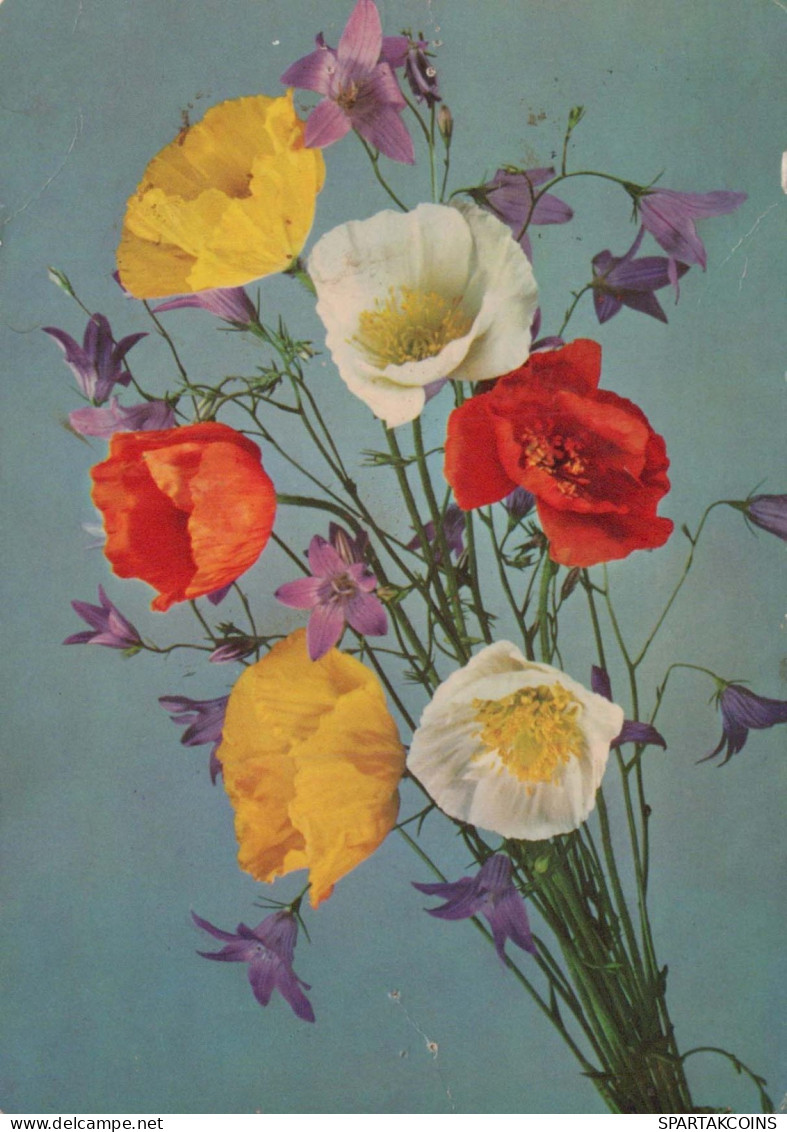 FLOWERS Vintage Postcard CPSM #PAR210.GB - Flores