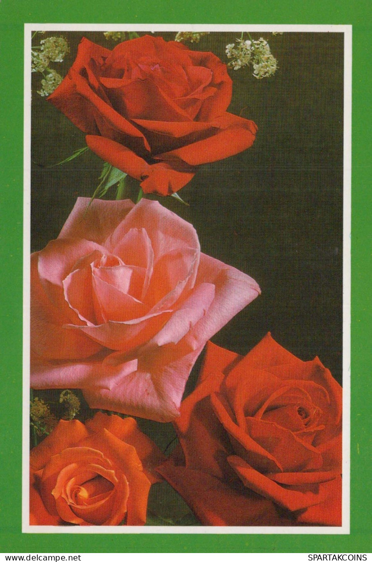 FLORES Vintage Tarjeta Postal CPSM #PBZ100.ES - Flores