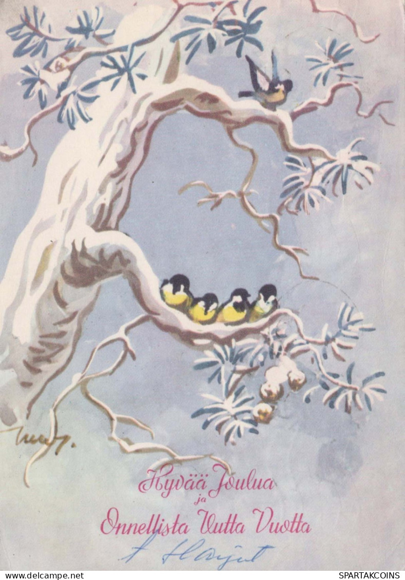 PÁJARO Animales Vintage Tarjeta Postal CPSM #PBR509.ES - Oiseaux