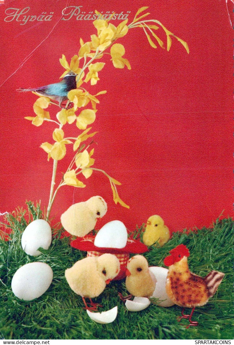 PASCUA POLLO HUEVO Vintage Tarjeta Postal CPSM #PBP127.ES - Pâques