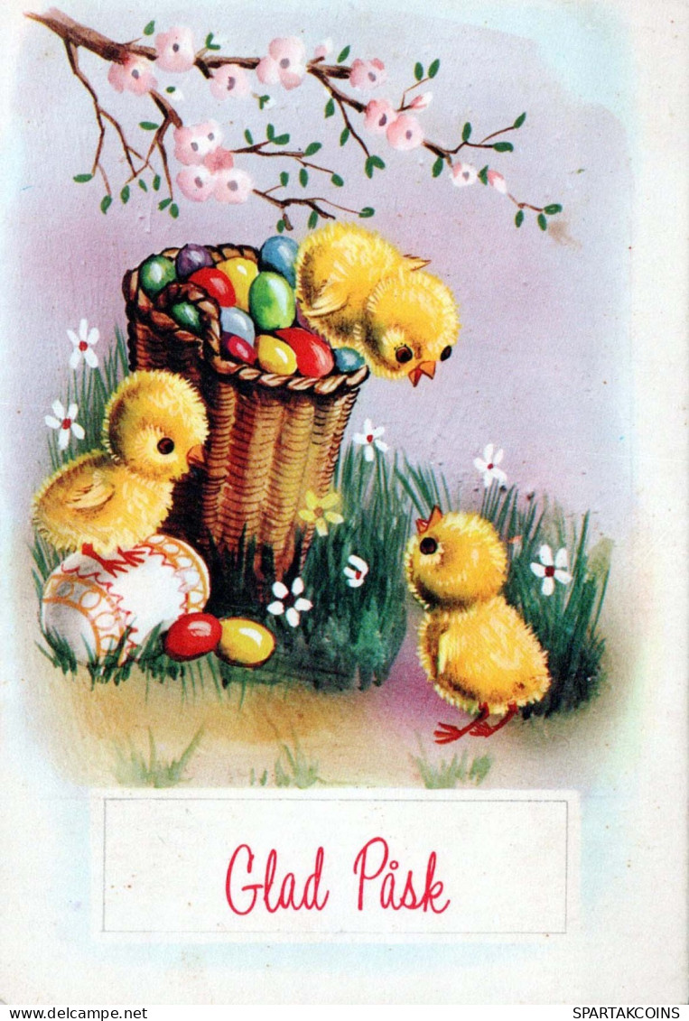 PASCUA POLLO HUEVO Vintage Tarjeta Postal CPSM #PBO626.ES - Ostern