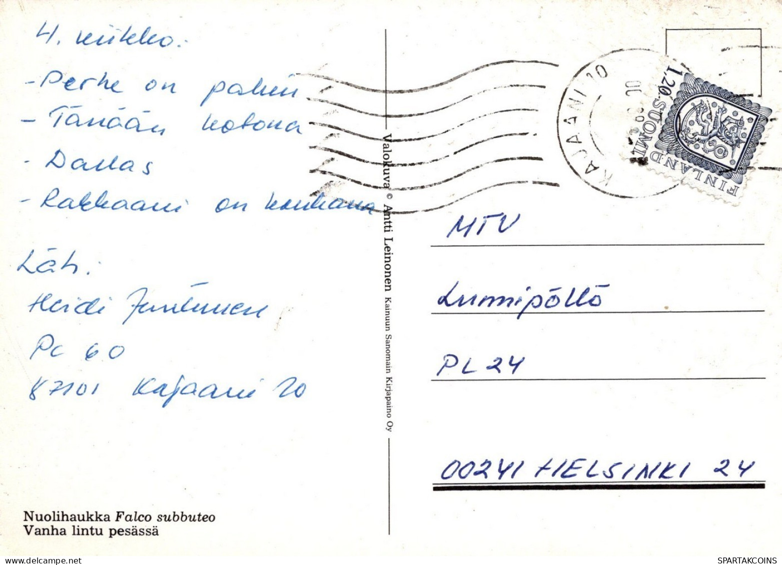 PÁJARO Animales Vintage Tarjeta Postal CPSM #PAN195.ES - Oiseaux