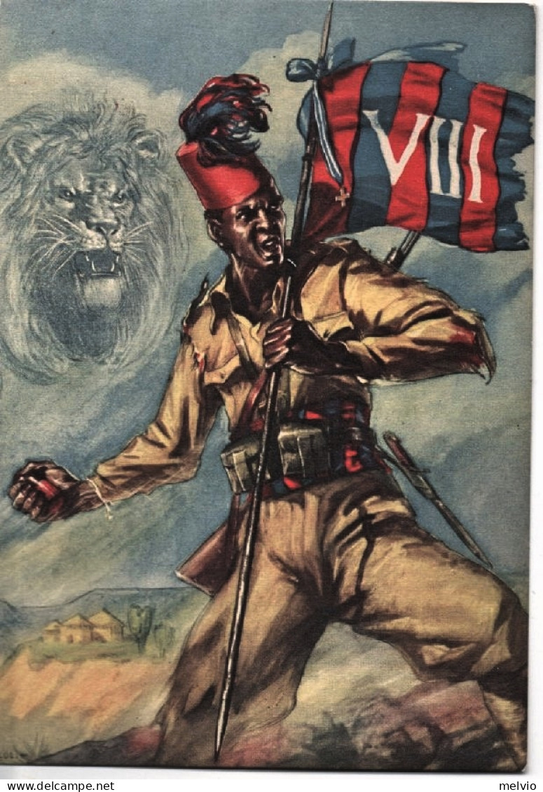 VIII^Battaglione Coloniale , Illustratore D'Ercoli - Patriottiche