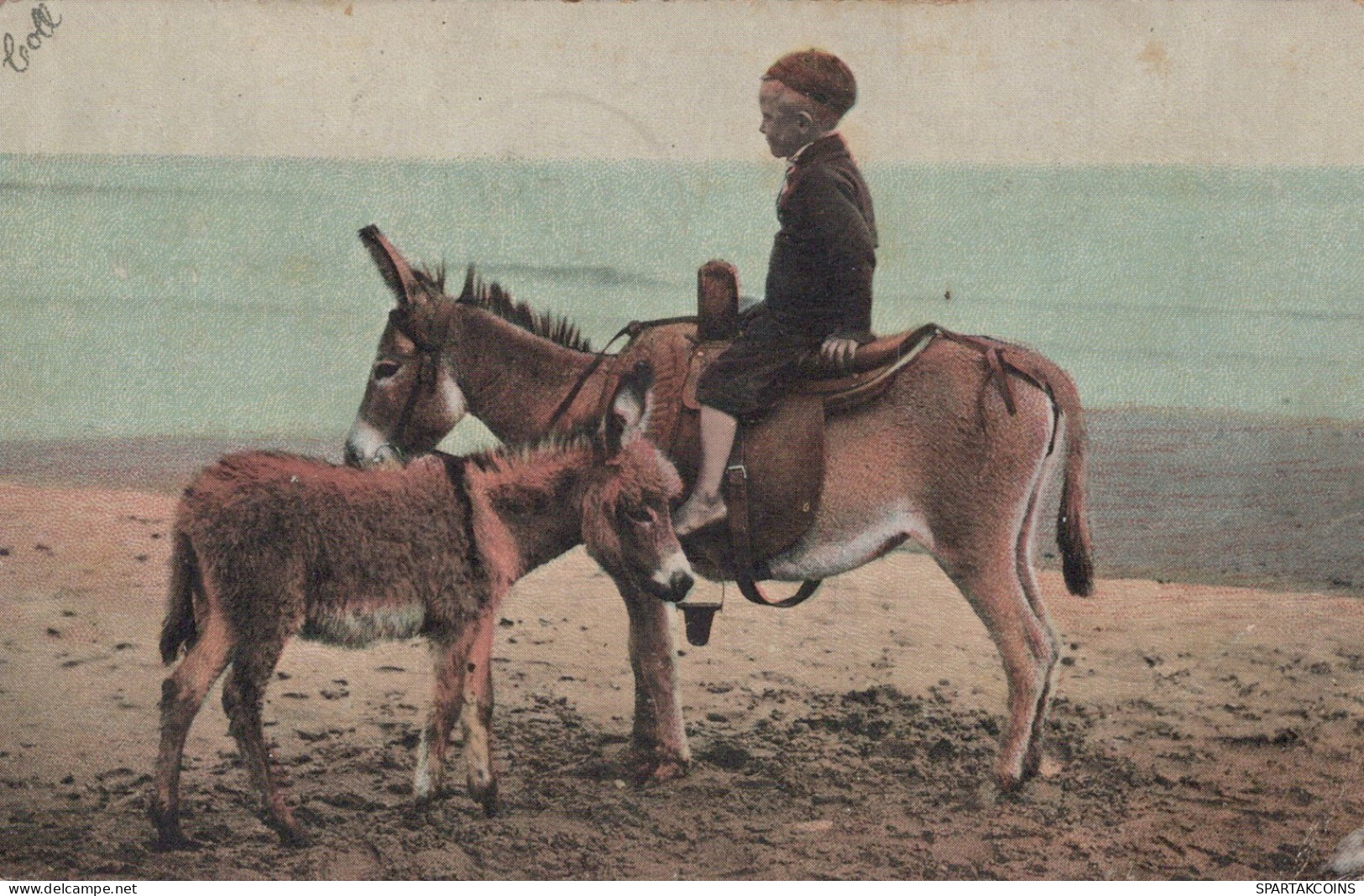 DONKEY Animals Children Vintage Antique Old CPA Postcard #PAA340.GB - Esel