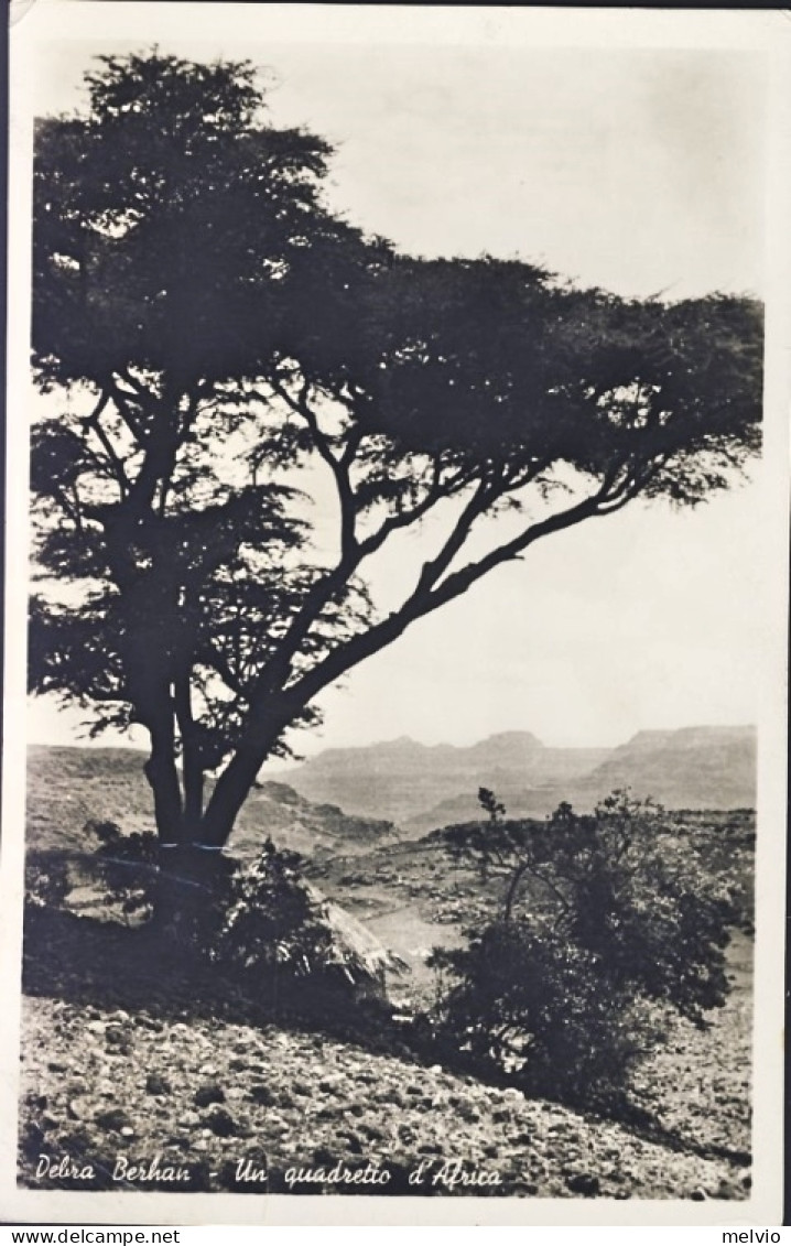 1939-Debra Berhan Un Quadretto D'Africa Cartolina Affrancata Etiopia 20c. - Ethiopia