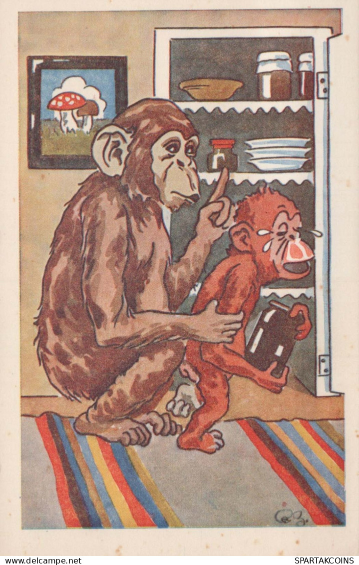 SINGE Animaux Vintage Carte Postale CPA #PKE886.FR - Monkeys