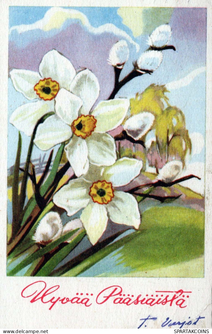 FLEURS Vintage Carte Postale CPA #PKE260.FR - Fiori