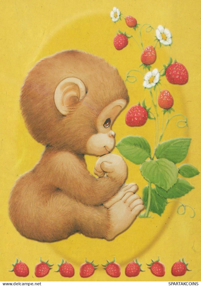 SINGE Animaux Vintage Carte Postale CPSM #PBR980.FR - Singes