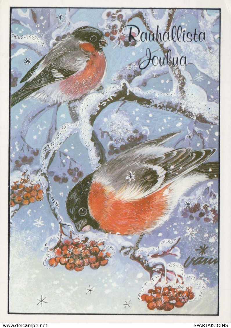 OISEAU Animaux Vintage Carte Postale CPSM #PBR510.FR - Oiseaux