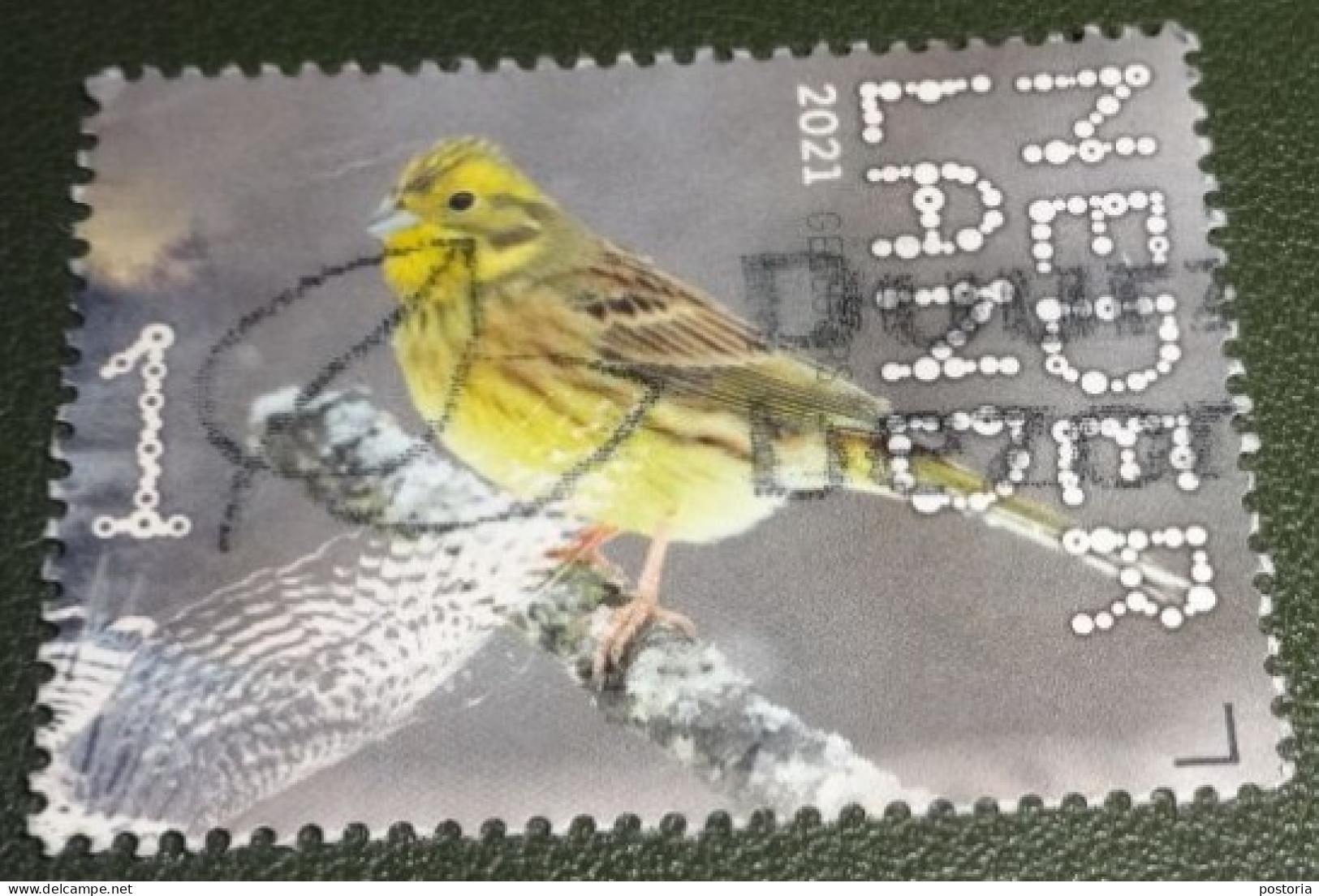 Nederland - NVPH - Xxxx - 2021 - Gebruikt - Beleef De Natuur - Tuinviooltje - Used Stamps