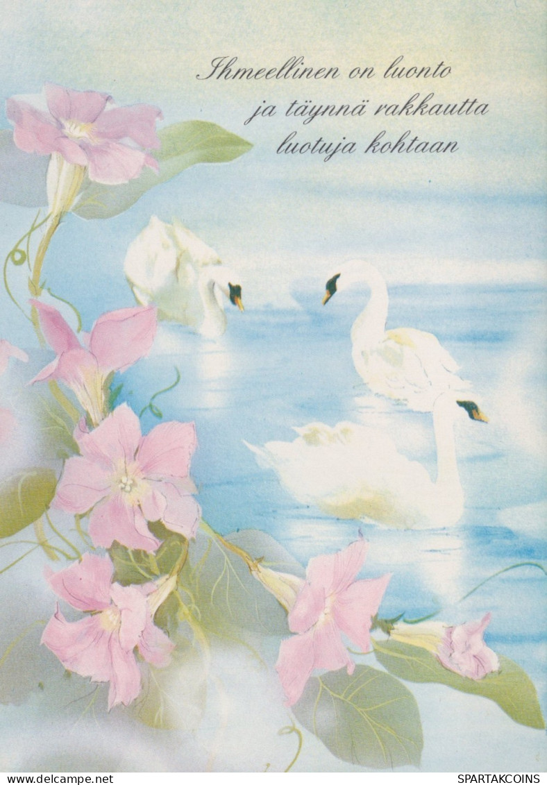 OISEAU Animaux Vintage Carte Postale CPSM #PAN318.FR - Uccelli