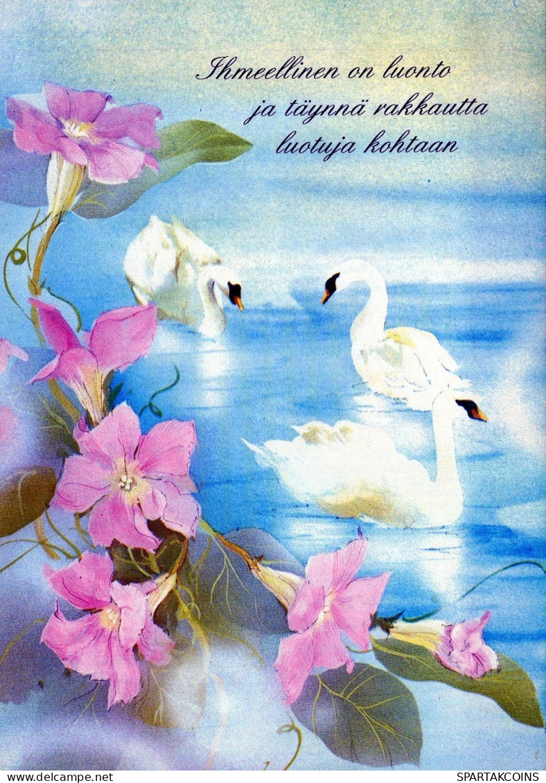 OISEAU Animaux Vintage Carte Postale CPSM #PAN318.FR - Oiseaux