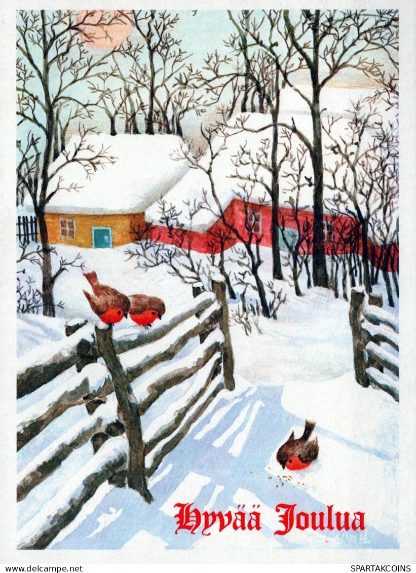OISEAU Animaux Vintage Carte Postale CPSM #PAM886.FR - Vögel