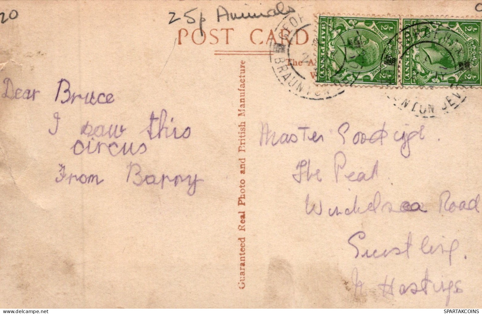 BURRO Animales Vintage Antiguo CPA Tarjeta Postal #PAA186.ES - Anes