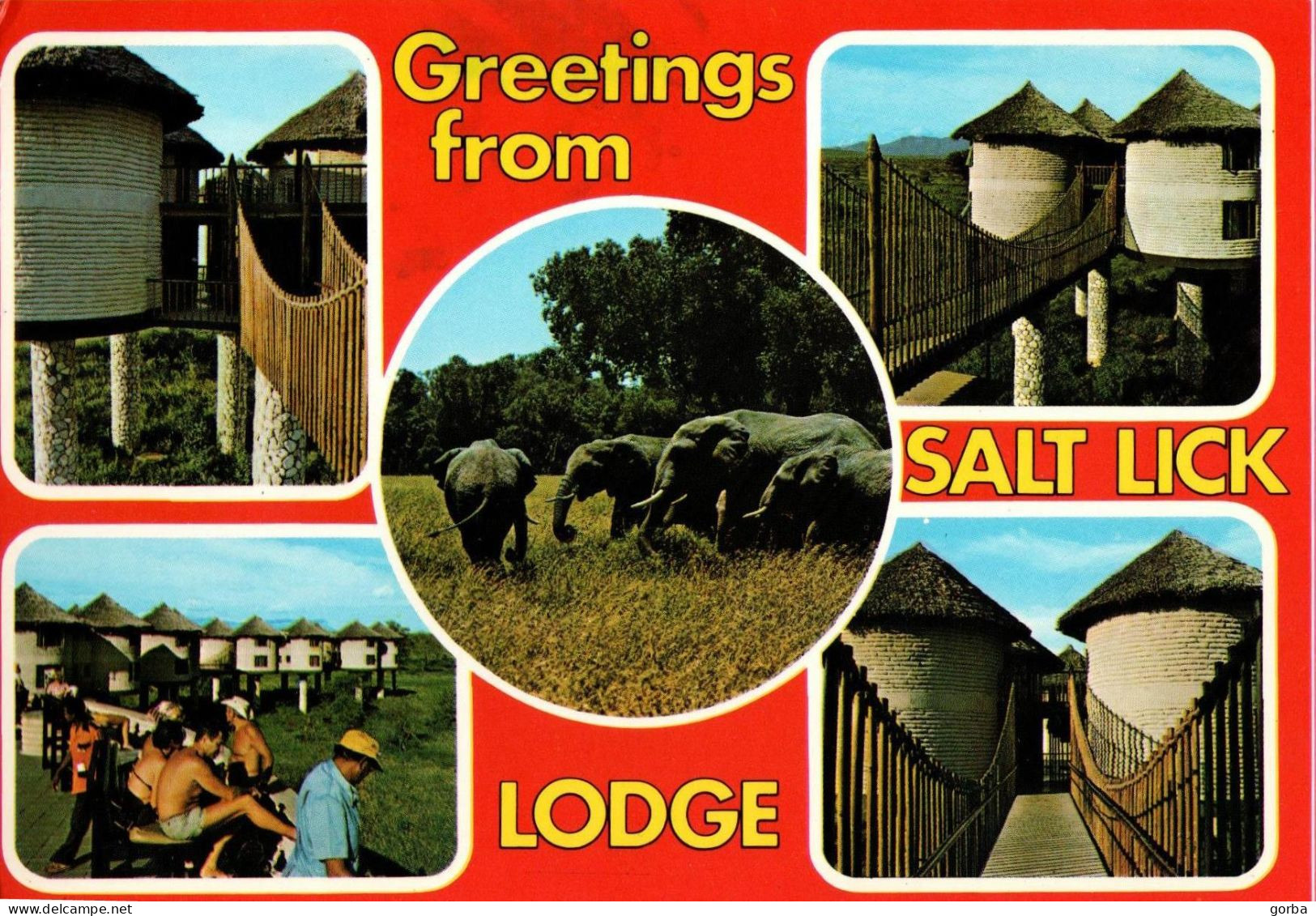 *CPM - KENYA - TSAVO - Salt Lodge - Hôtel - Multivue - Kenya