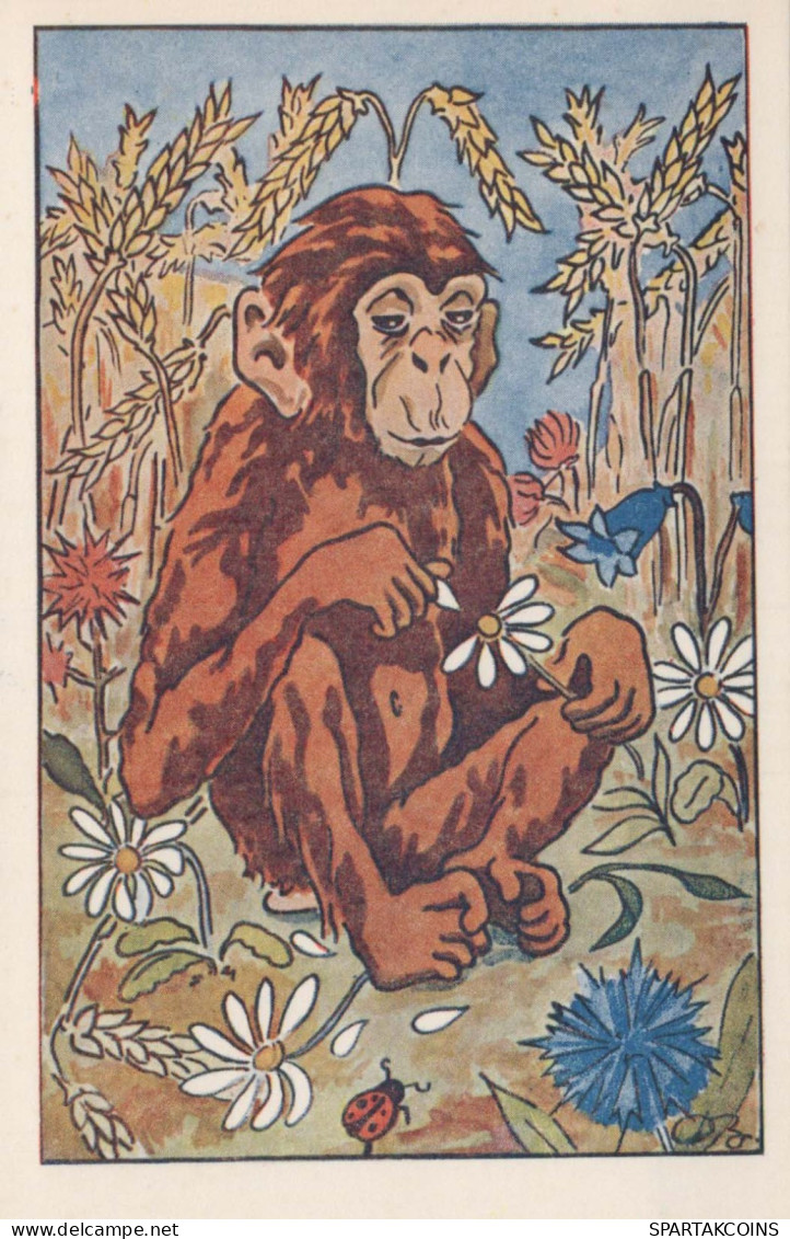 AFFE Tier Vintage Ansichtskarte Postkarte CPA #PKE887.DE - Monkeys