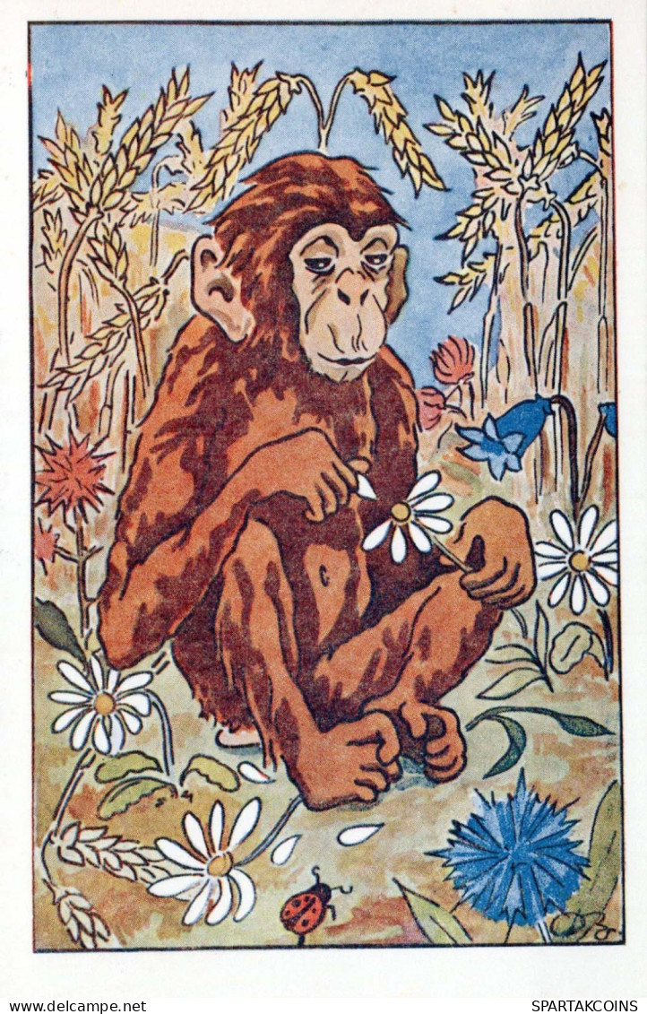 AFFE Tier Vintage Ansichtskarte Postkarte CPA #PKE887.DE - Scimmie