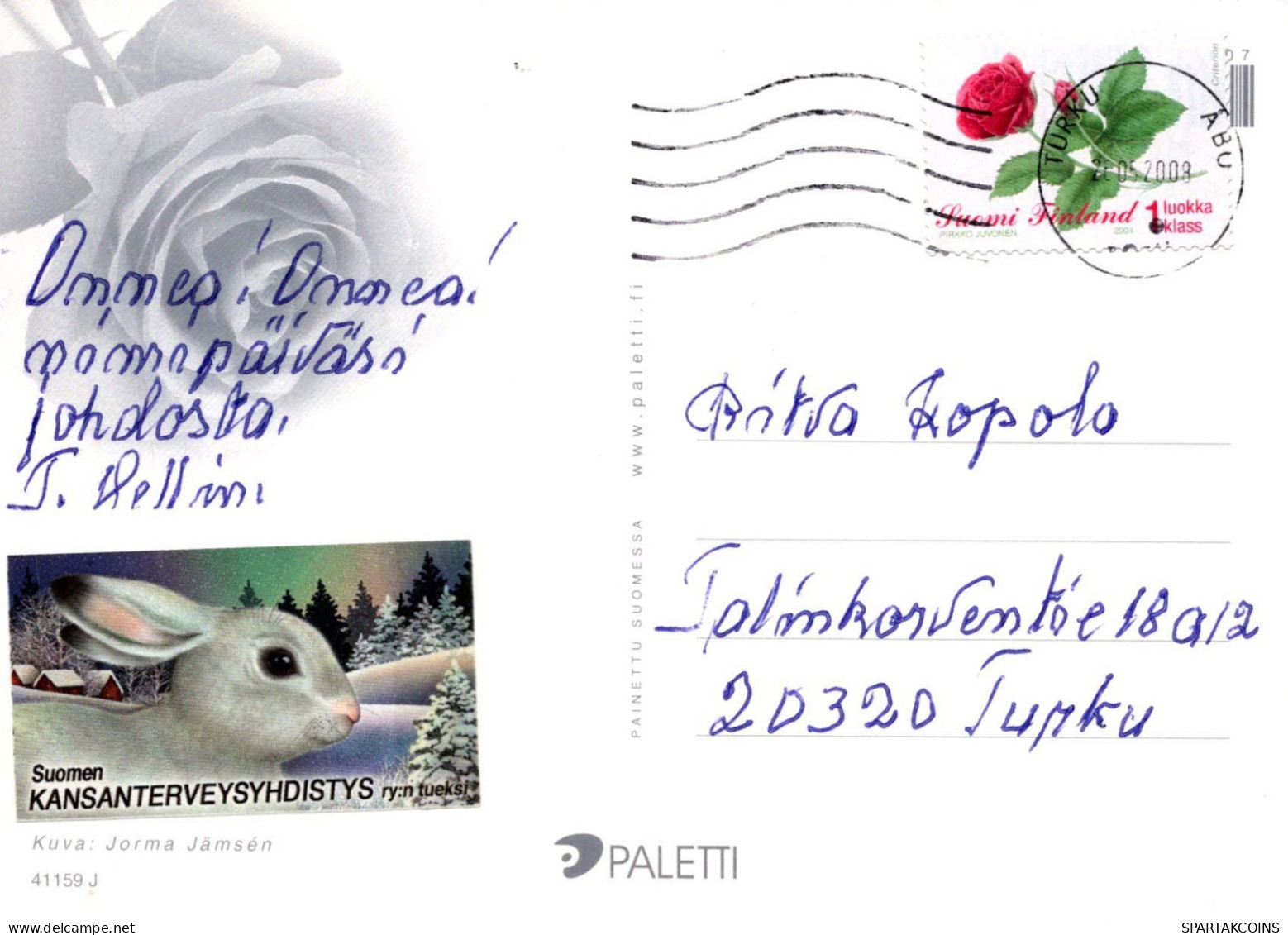 FLOWERS Vintage Ansichtskarte Postkarte CPSM #PBZ402.DE - Blumen