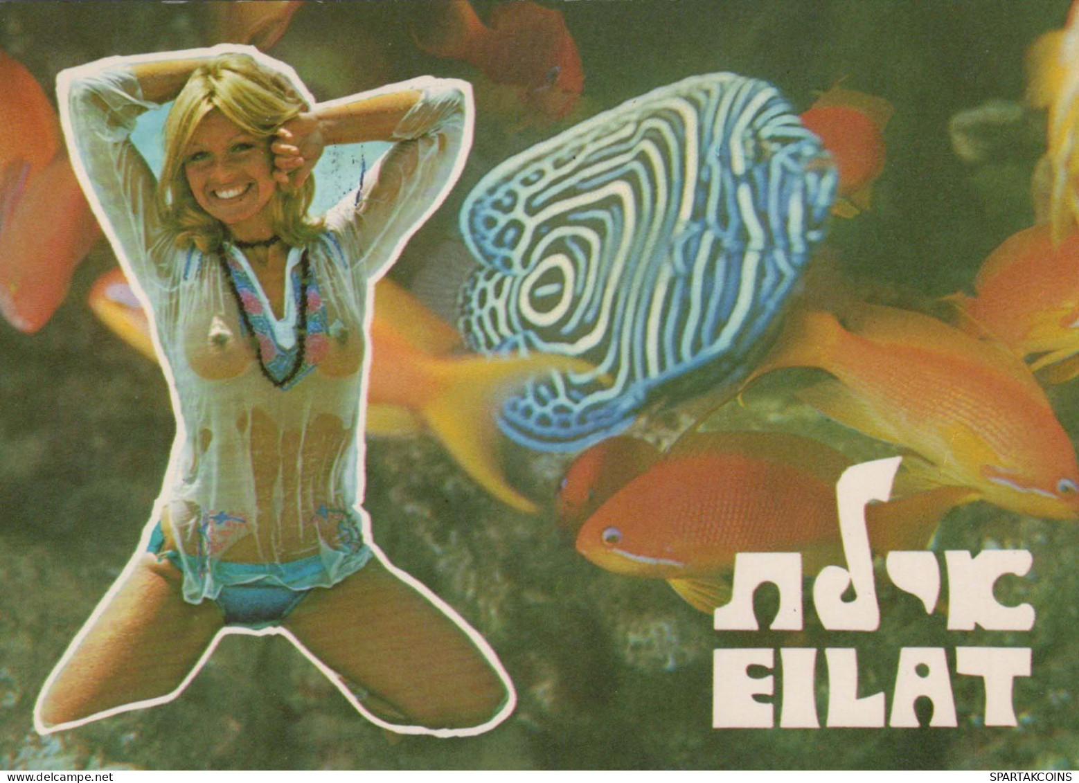 FISCH Tier Vintage Ansichtskarte Postkarte CPSM #PBS888.DE - Fish & Shellfish