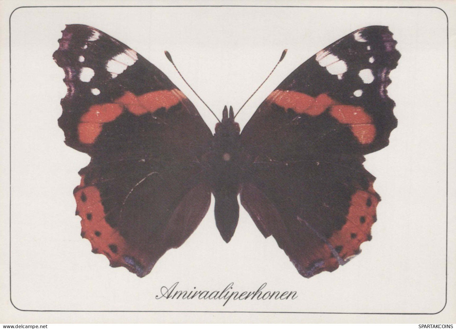 SCHMETTERLINGE Tier Vintage Ansichtskarte Postkarte CPSM #PBS430.DE - Butterflies