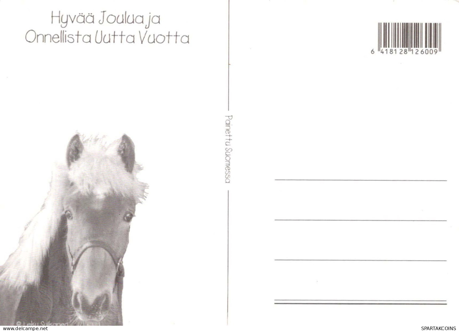 PFERD Tier Vintage Ansichtskarte Postkarte CPSM #PBR902.DE - Horses