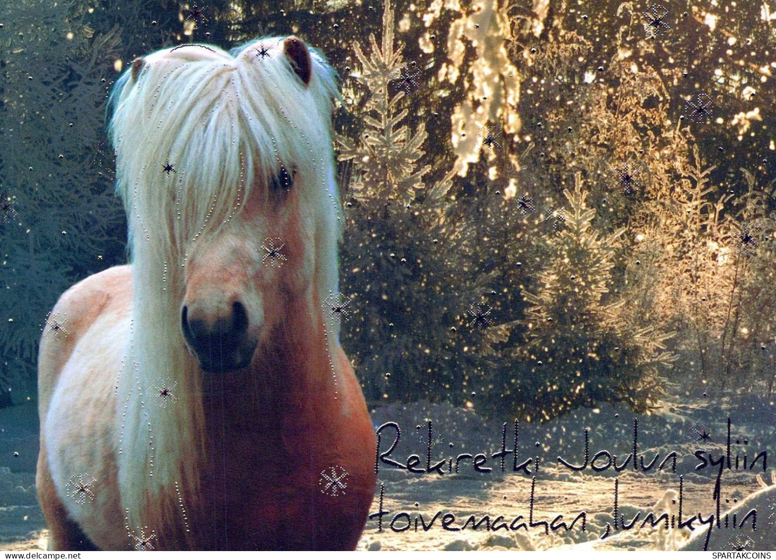 PFERD Tier Vintage Ansichtskarte Postkarte CPSM #PBR902.DE - Caballos