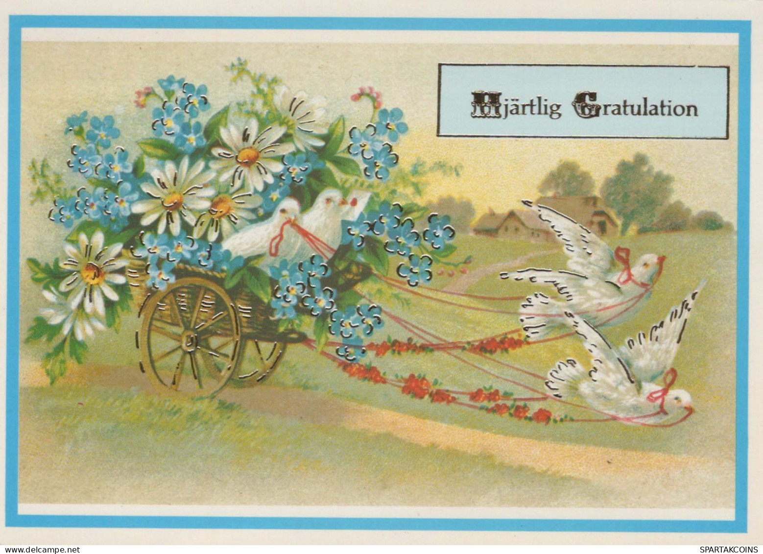 VOGEL Tier Vintage Ansichtskarte Postkarte CPSM #PBR573.DE - Vögel