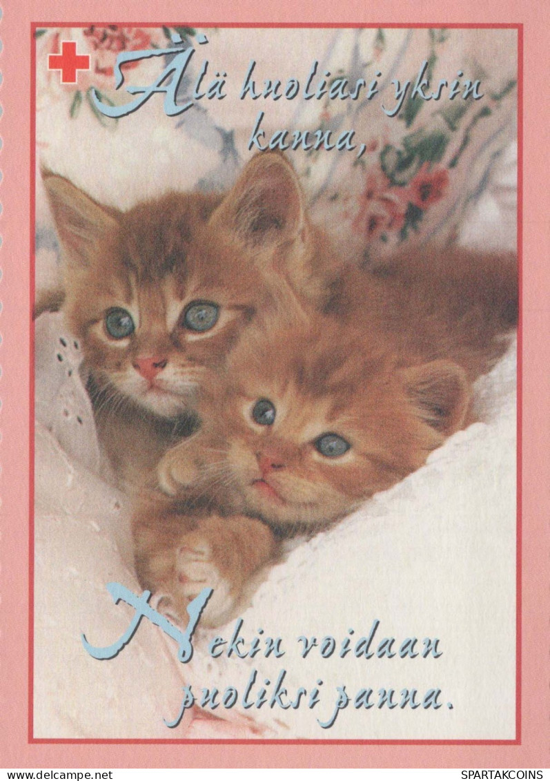 KATZE MIEZEKATZE Tier Vintage Ansichtskarte Postkarte CPSM #PBQ920.DE - Gatos