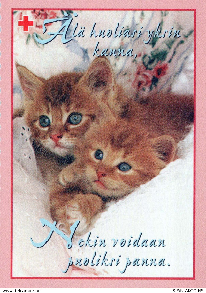 KATZE MIEZEKATZE Tier Vintage Ansichtskarte Postkarte CPSM #PBQ920.DE - Gatos