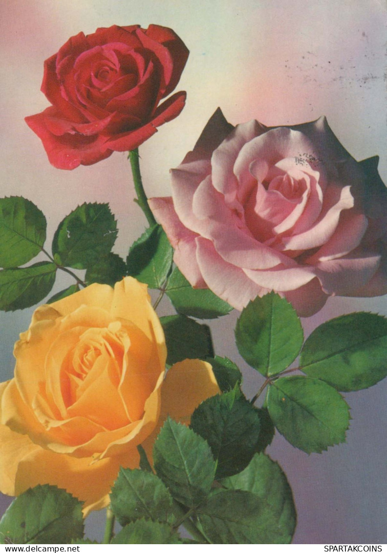 FLOWERS Vintage Ansichtskarte Postkarte CPSM #PAR994.DE - Blumen