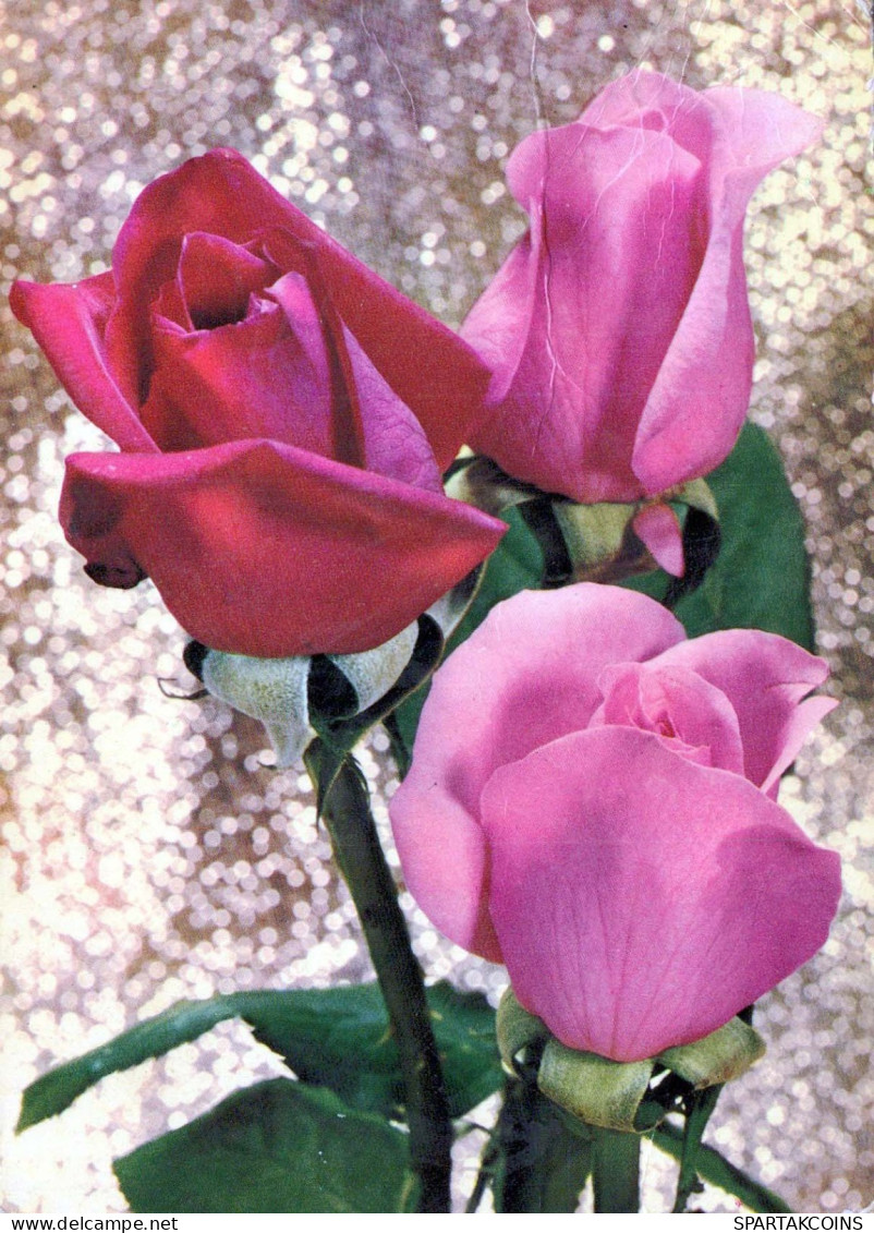 FLOWERS Vintage Ansichtskarte Postkarte CPSM #PAR874.DE - Blumen