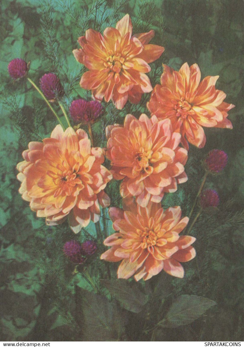 FLOWERS Vintage Ansichtskarte Postkarte CPSM #PAR694.DE - Blumen