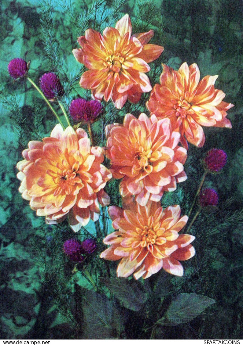 FLOWERS Vintage Ansichtskarte Postkarte CPSM #PAR694.DE - Blumen
