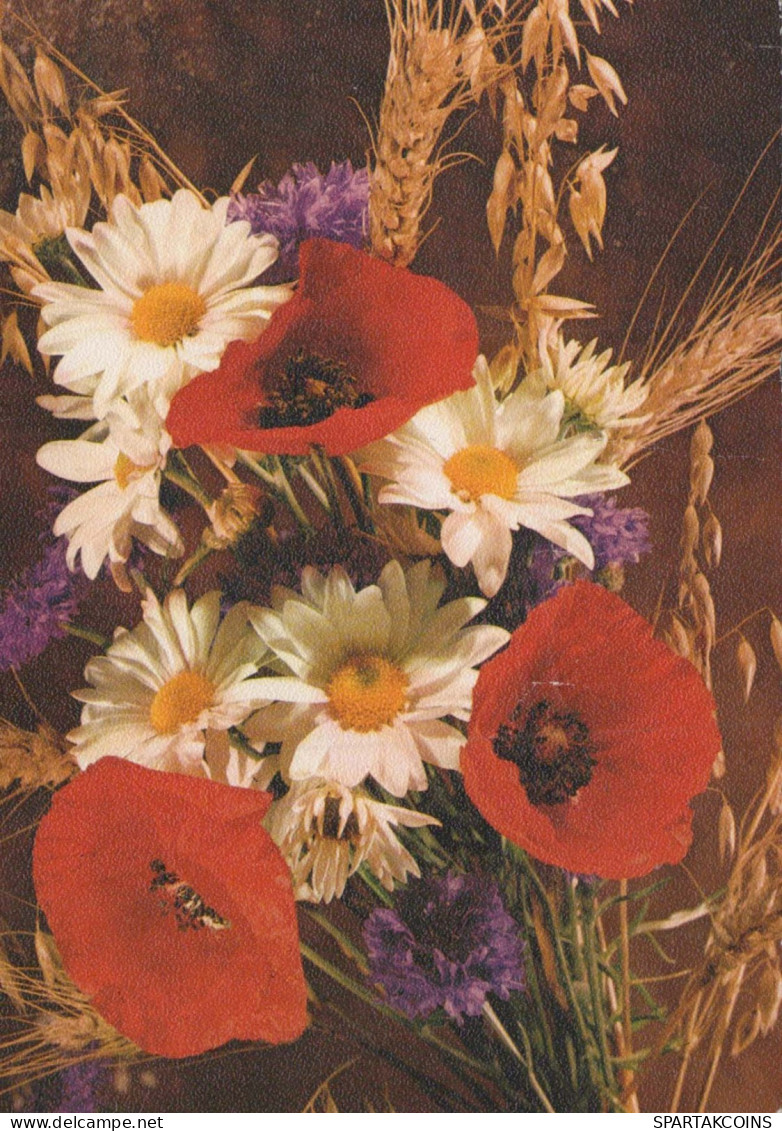 FLOWERS Vintage Ansichtskarte Postkarte CPSM #PAR213.DE - Blumen