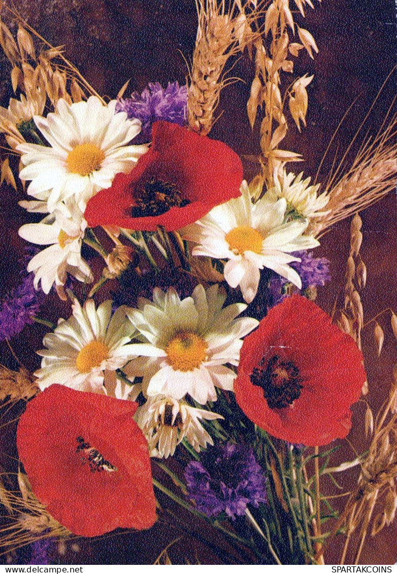 FLOWERS Vintage Ansichtskarte Postkarte CPSM #PAR213.DE - Blumen