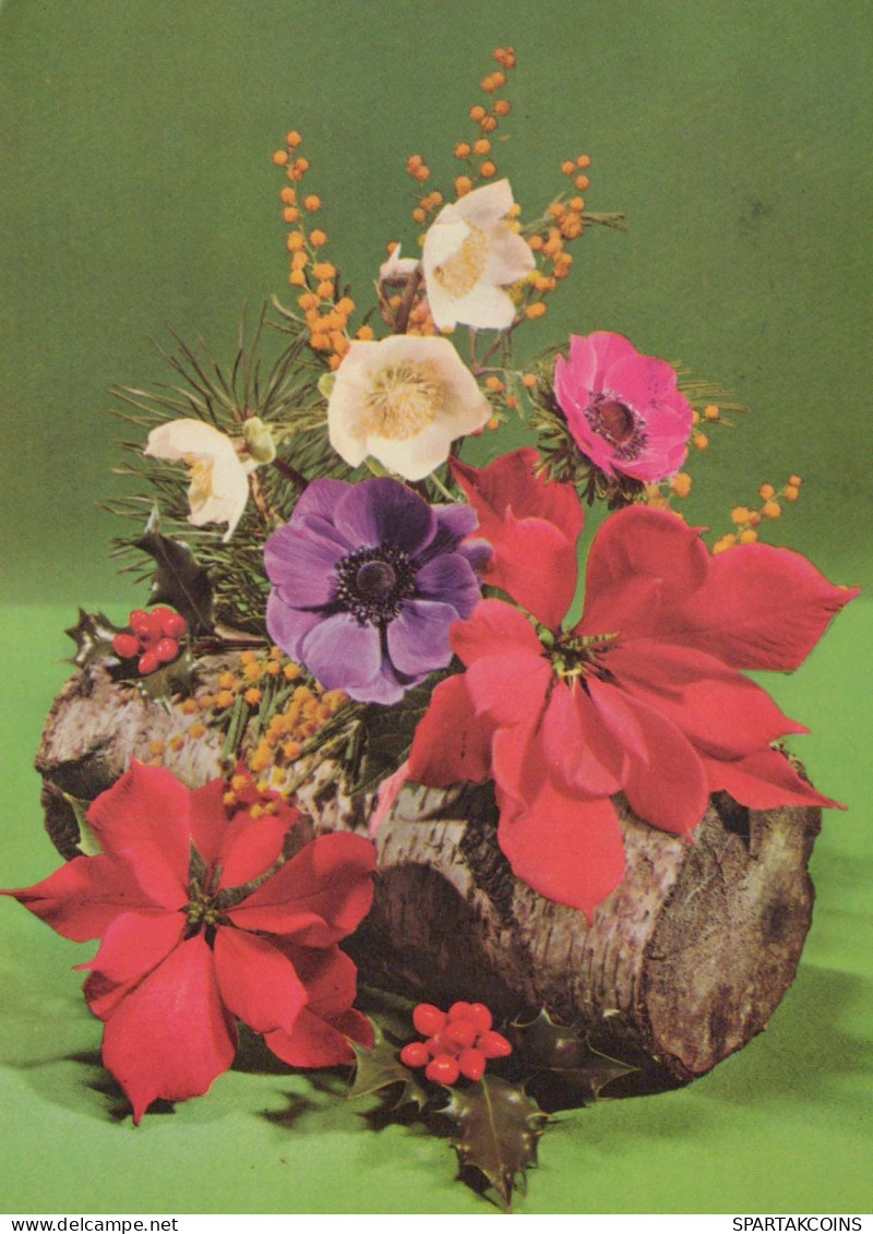 FLOWERS Vintage Ansichtskarte Postkarte CPSM #PAR814.DE - Flowers