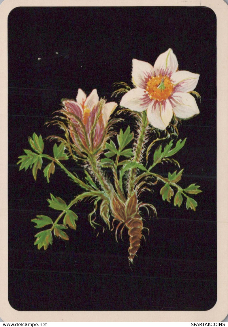 FLOWERS Vintage Ansichtskarte Postkarte CPSM #PAR514.DE - Flowers