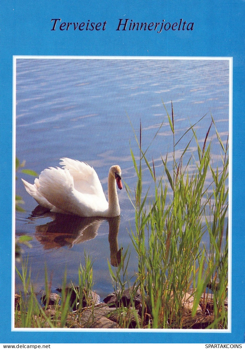 VOGEL Tier Vintage Ansichtskarte Postkarte CPSM #PAN319.DE - Vogels