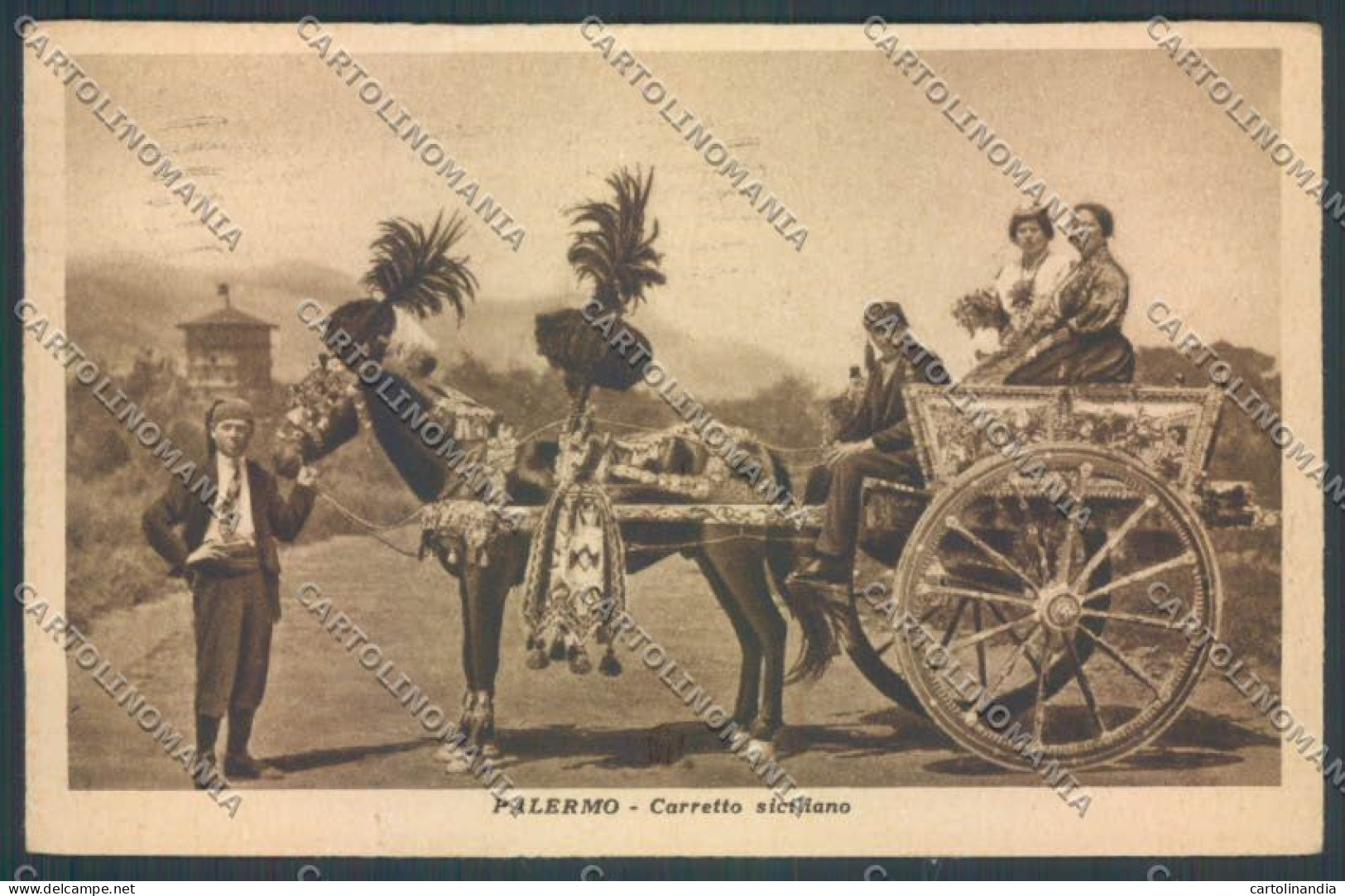 Palermo Carretto Siciliano Asino Cartolina ZT8445 - Palermo