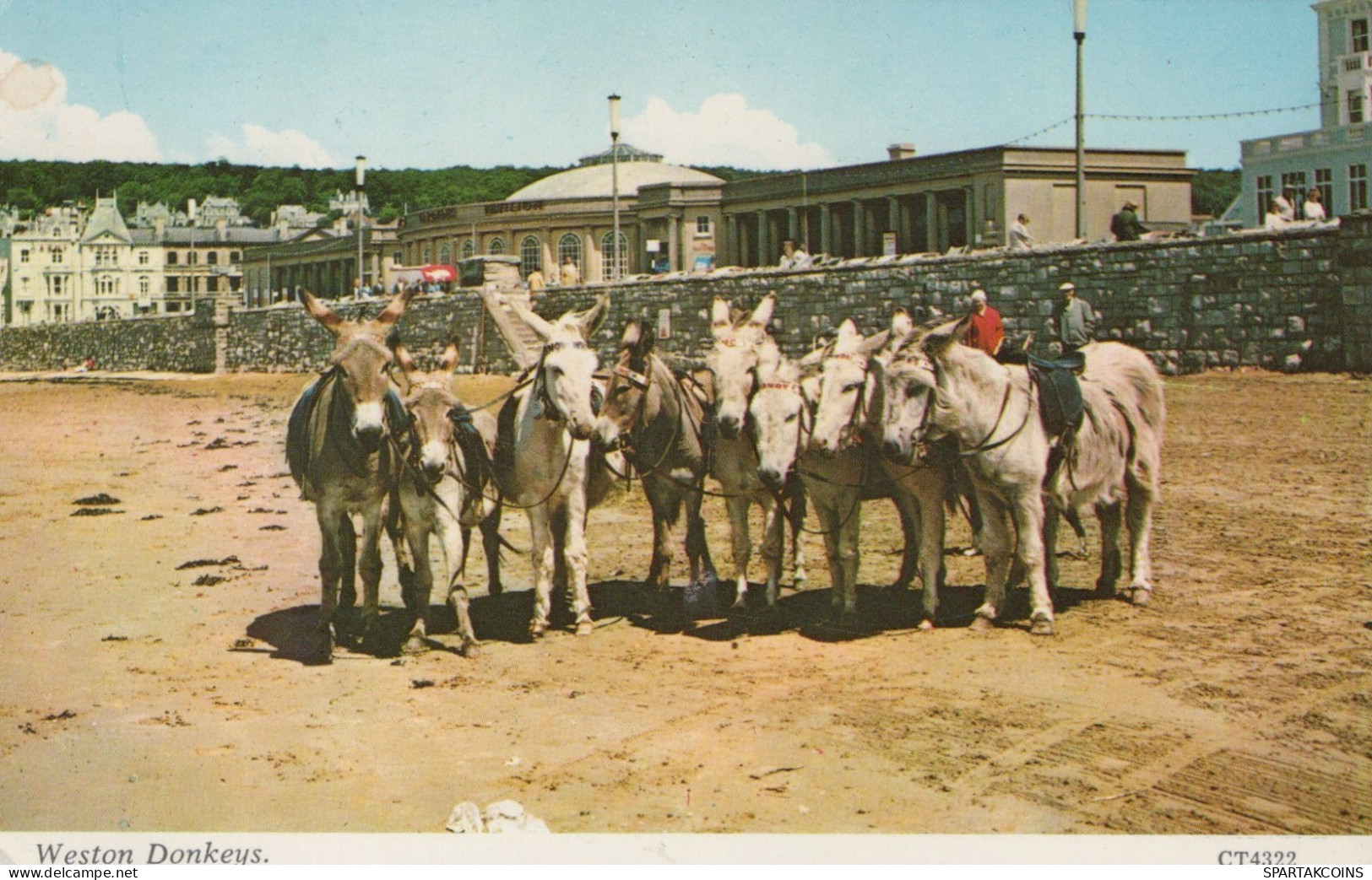 ÂNE Animaux Enfants Vintage Antique CPA Carte Postale #PAA342.FR - Burros