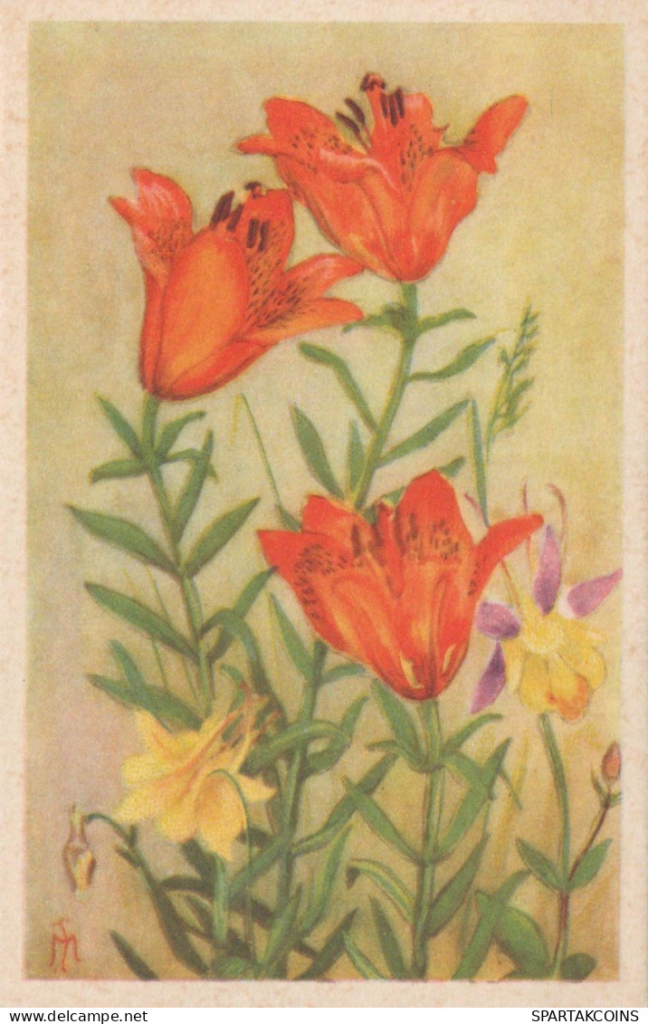 FIORI Vintage Cartolina CPSMPF #PKG001.IT - Blumen